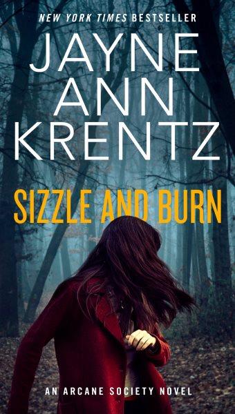 SIZZLE AND BURN (MYS) / Jayne Ann Krentz.