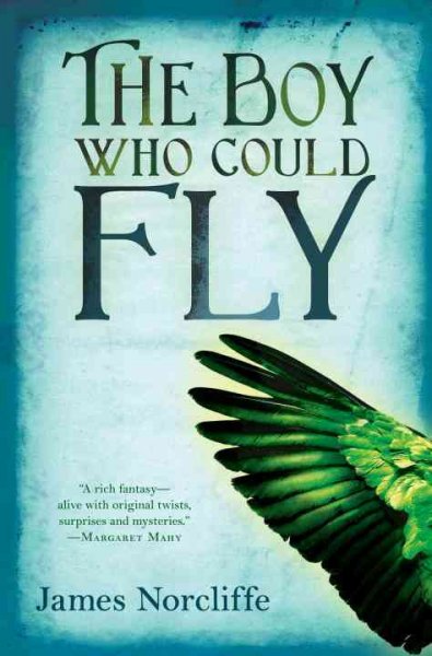 The boy who could fly / James Norcliffe.