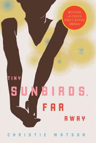 Tiny sunbirds, far away : a novel / Christie Watson.