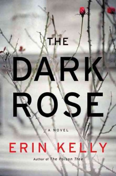 The dark rose / Erin Kelly.