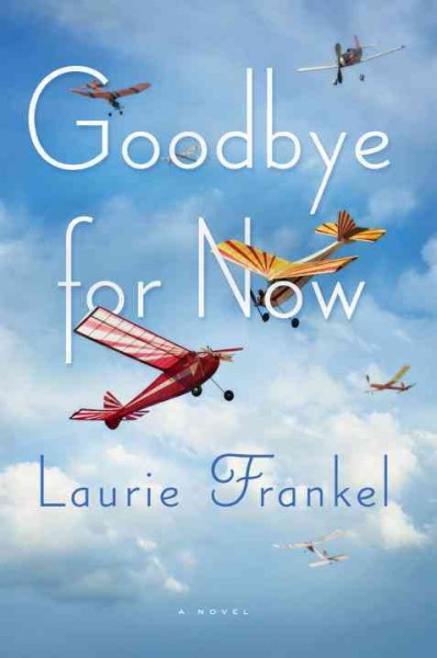 Goodbye for now : a novel / Laurie Frankel.