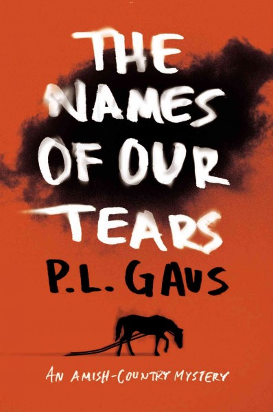 The names of our tears : an Amish-country mystery / P.L. Gaus.