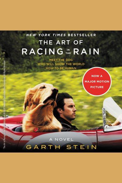 The art of racing in the rain [electronic resource] / Garth Stein.