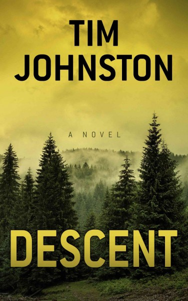 Descent : a novel  / Tim Johnston.