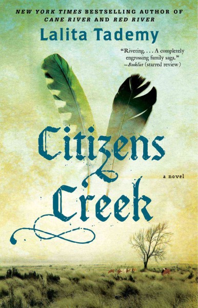 Citizens Creek : a novel / Lalita Tademy.