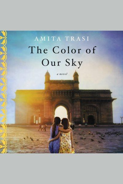 The color of our sky : a novel / Amita Trasi.