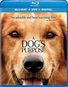 A dog's purpose [DVD videorecording] / Amblin Entertainment and Reliance Entertainment present in association with Walden Media a Pariah production ; directed by Lasse Hallstr©œm ; screenplay by W. Bruce Cameron and four others.