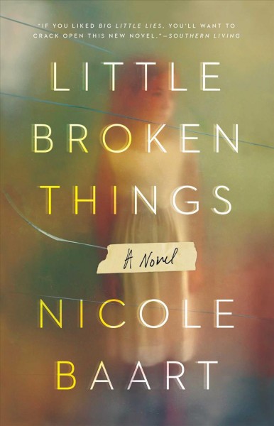 Little broken things : a novel / Nicole Baart.