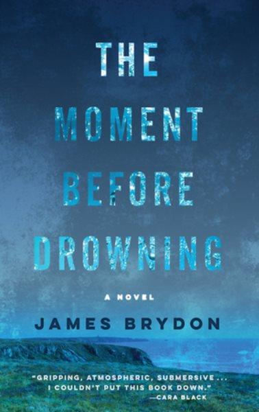 The moment before drowning : a novel / James Brydon.