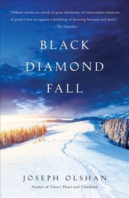 Black Diamond Fall : a novel / Joseph Olshan.