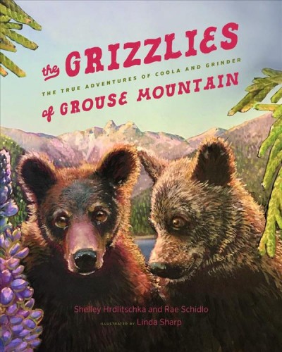 The grizzlies : the true adventures of Coola and Grinder of Grouse Mountain / Shelley Hrdlitschka and Rae Schidlo ; illustrated by Linda Sharp.