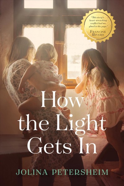 How the light gets in : a novel / Jolina Petersheim.
