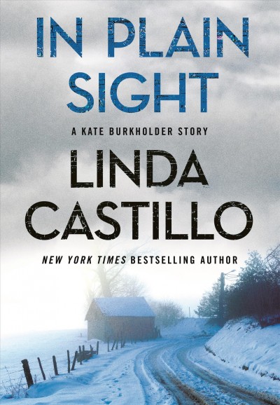 In plain sight : A Kate Burkholder Short Mystery / Linda Castillo.