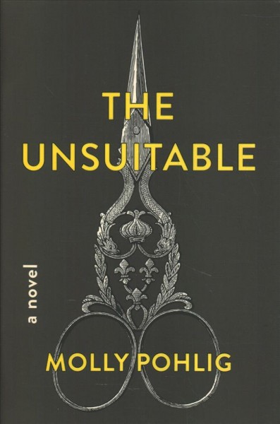 The unsuitable : a novel / Molly Pohlig.