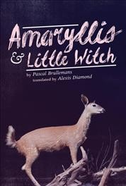 Amaryllis & Little Witch / by Pascal Brullemans ; translated by Alexis Diamond.