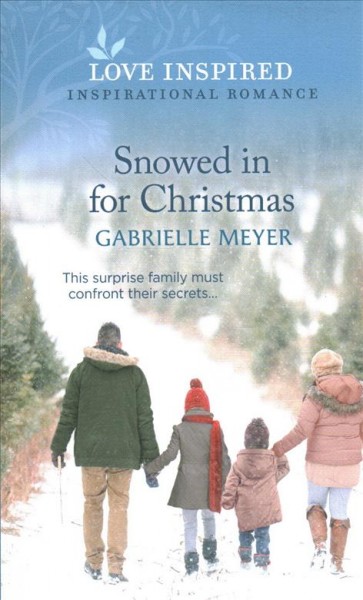Snowed in for Christmas / Gabrielle Meyer.