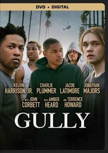 Gully [videorecording] / director, Nabil Edelrkin.