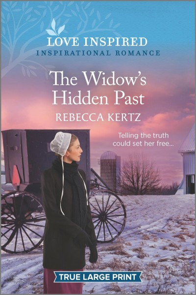 The widow's hidden past / Rebecca Kertz.
