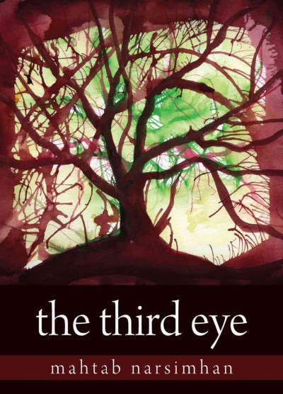 The third eye [electronic resource] / Mahtab Narsimhan.