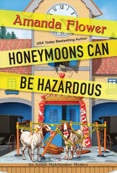 Honeymoons can be hazardous / Amanda Flower.