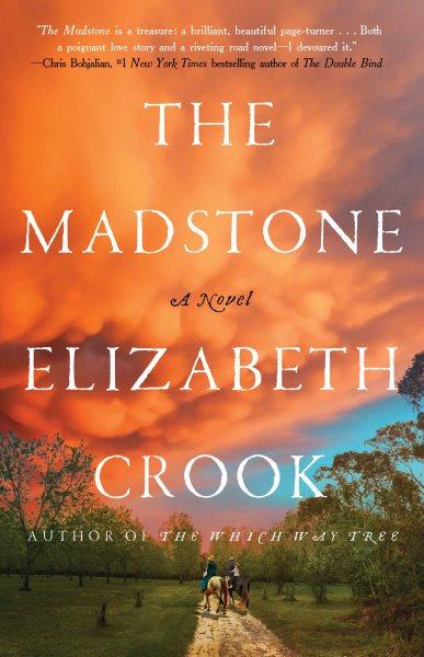 The madstone : a novel / Elizabeth Crook.