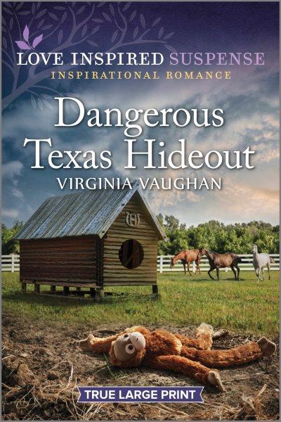 Dangerous Texas hideout / Virginia Vaughan.