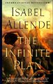 Go to record The infinite plan : a novel