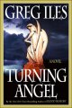 Turning angel  Cover Image