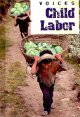 Child labor Cover Image