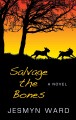Salvage the bones  Cover Image