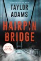 Hairpin bridge : a novel  Cover Image