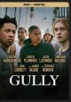 Gully Cover Image