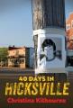 40 days in Hicksville  Cover Image