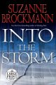 Go to record Into the storm : a novel